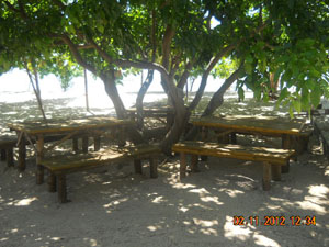 Open Picnic Cottage